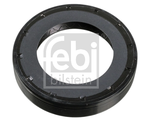 Shaft Seal, differential